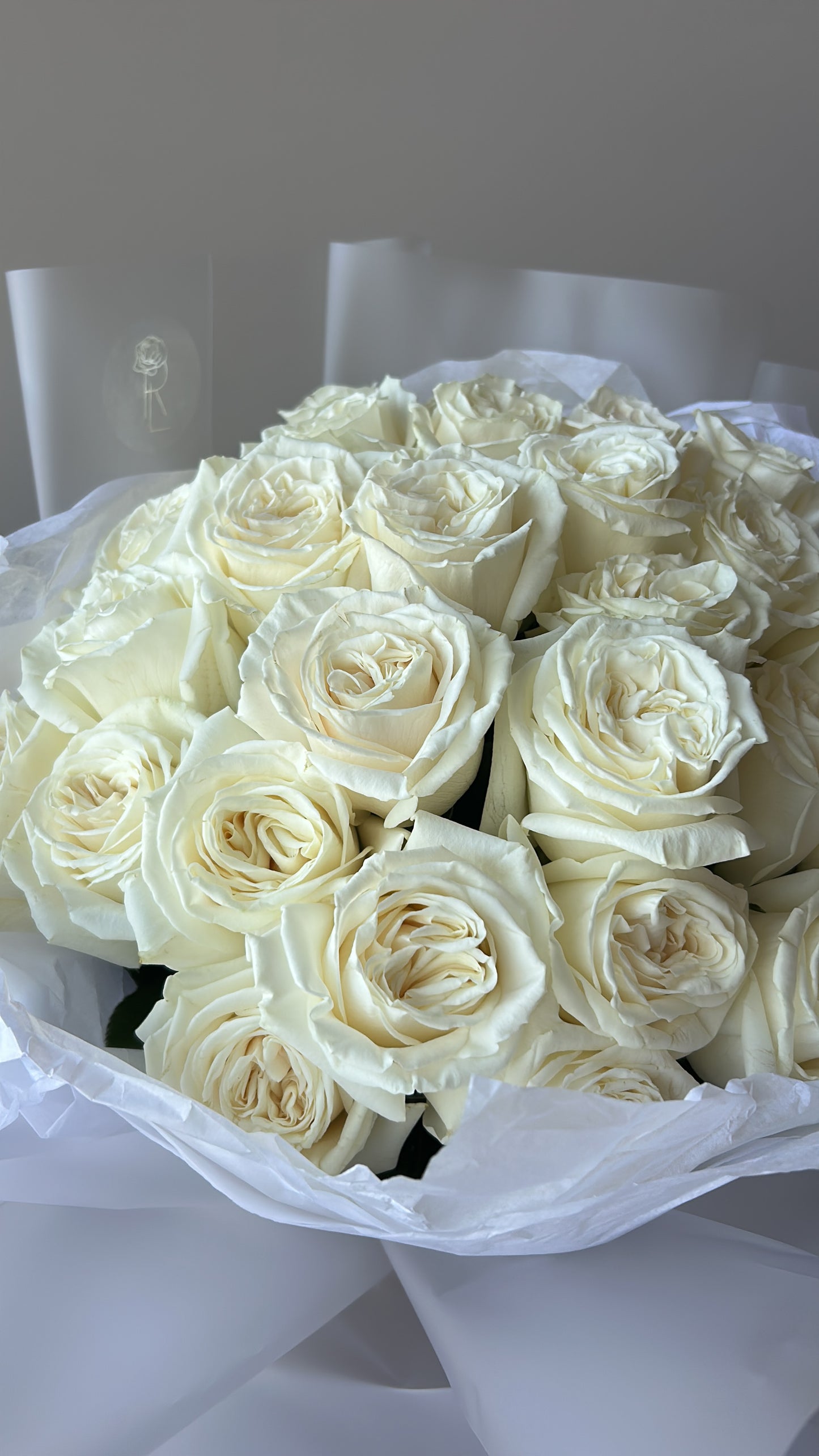 Roses blanches classiques
