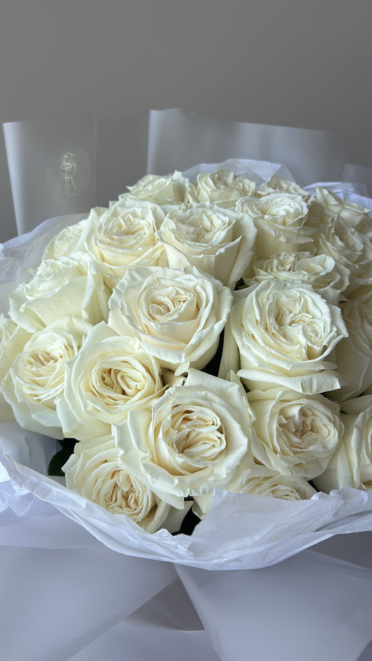 Roses blanches classiques