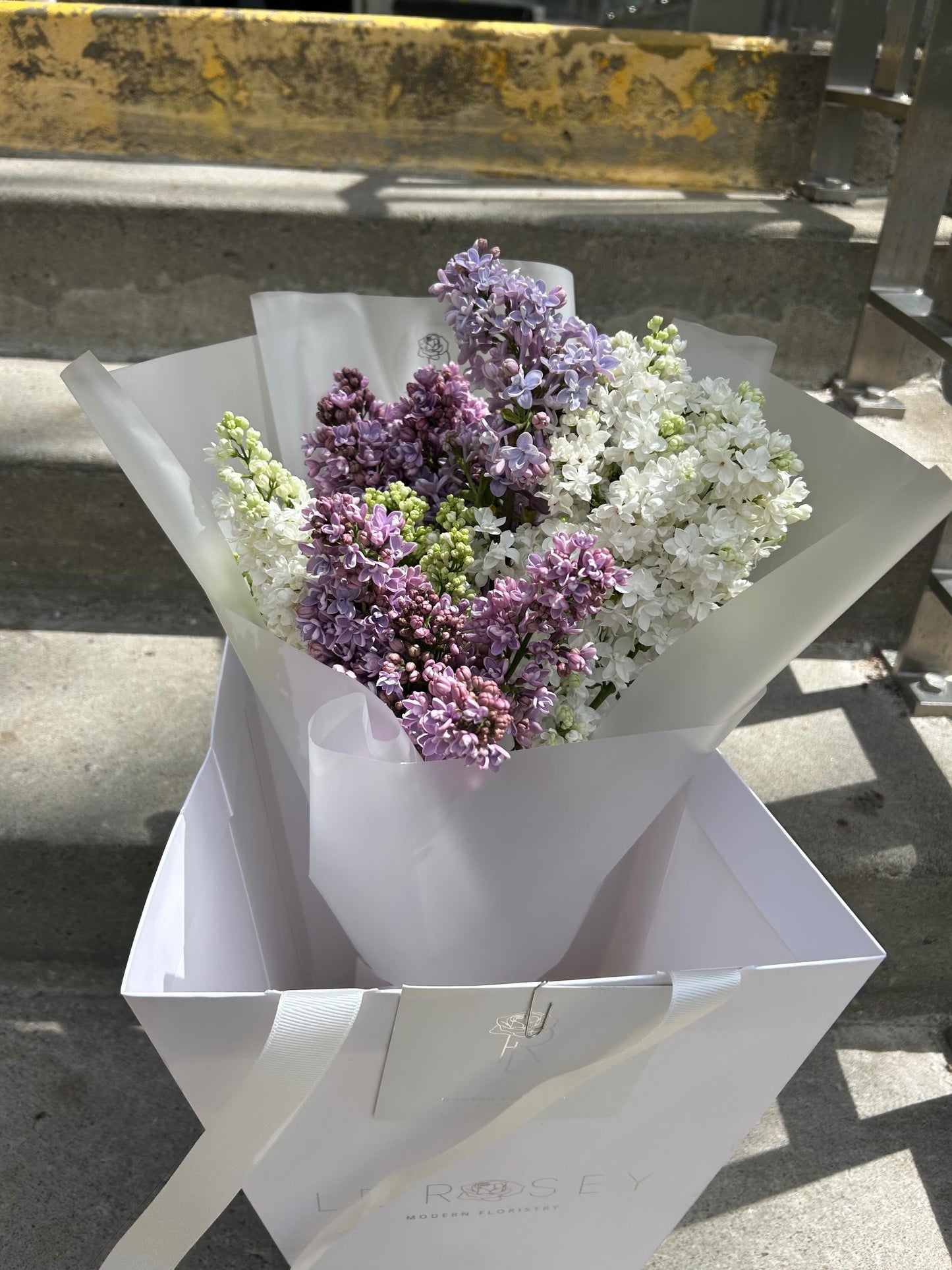Branches de lilas violet
