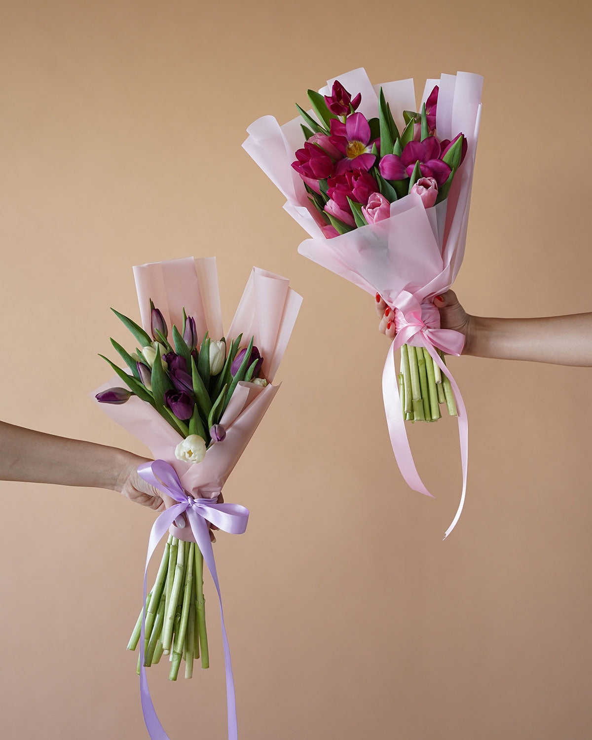 Variety of Tulips