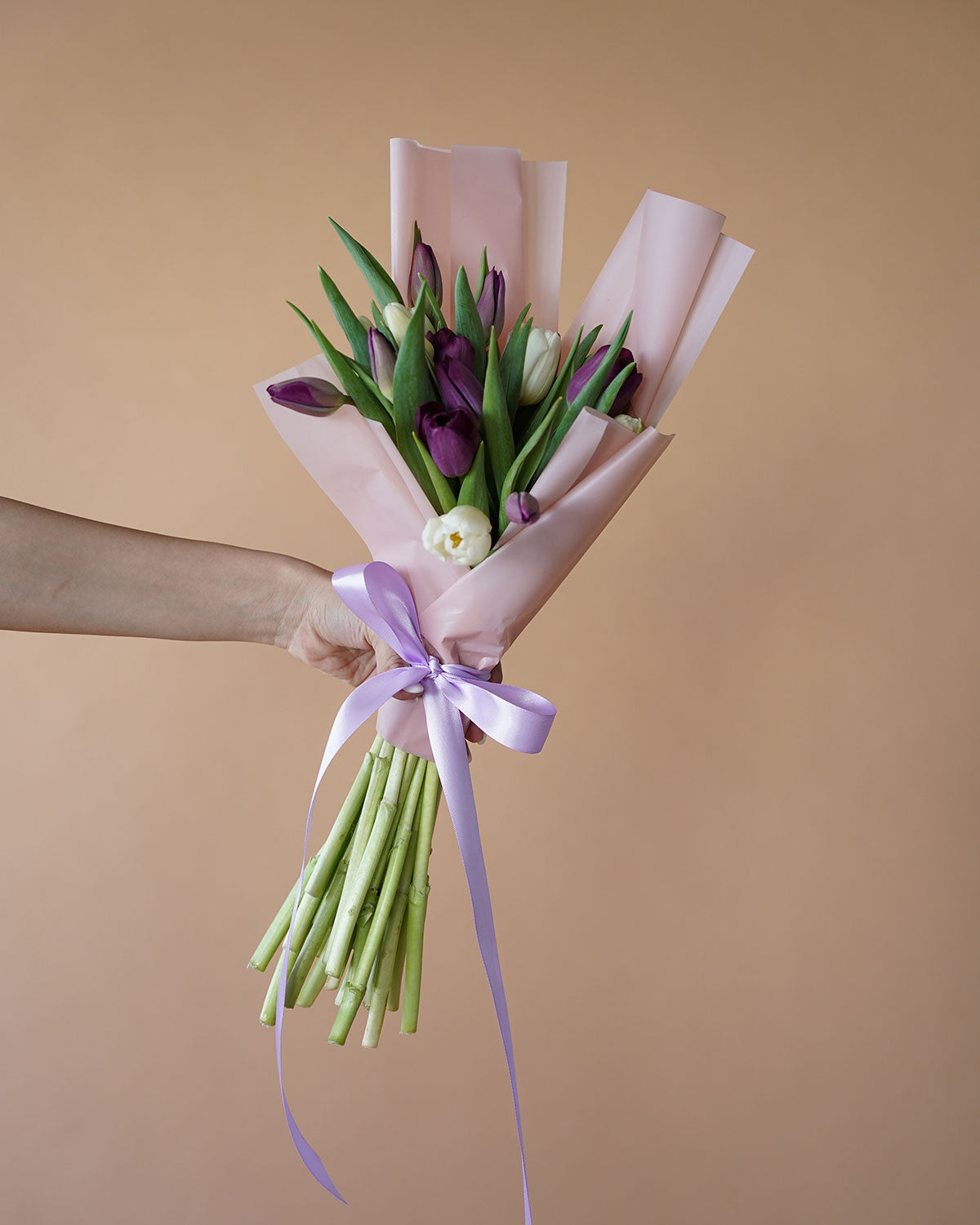 Variety of Tulips
