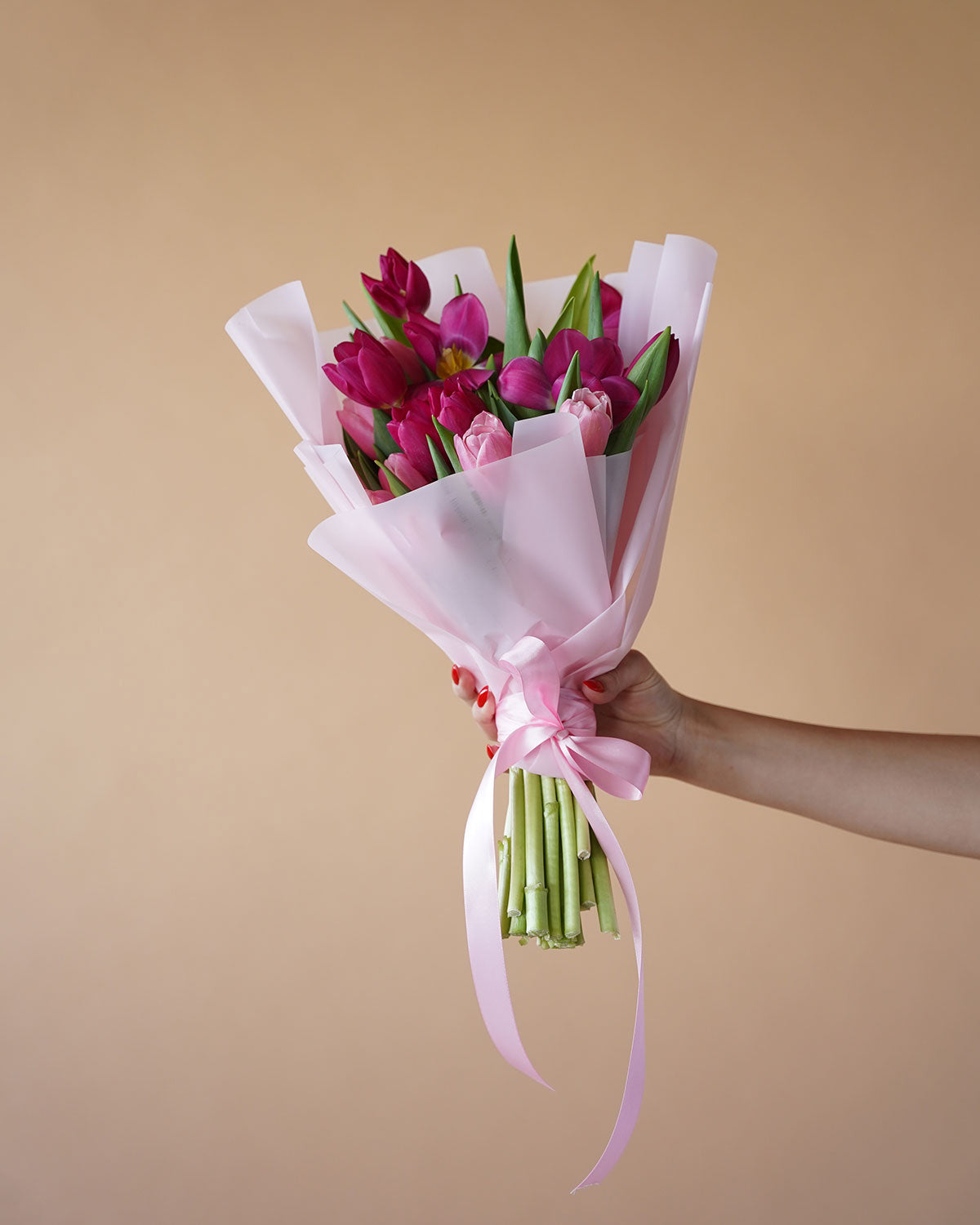Variety of Tulips
