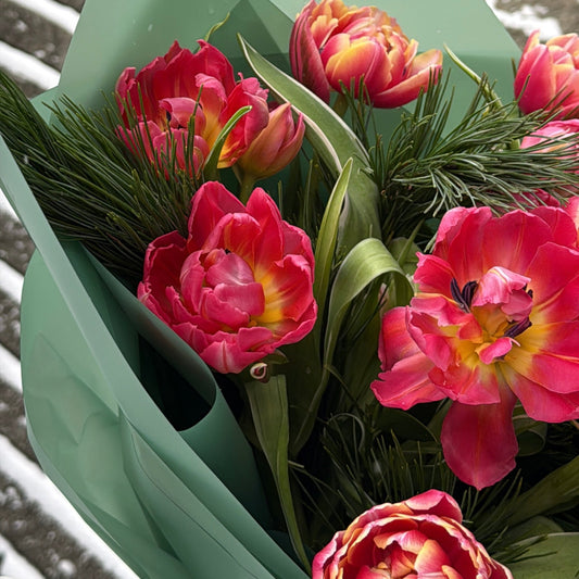 Bouquet of pink tulips wrapped in green paper against a snowy background