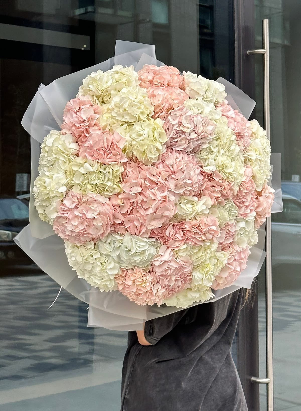 Pink and white Hydrangea
