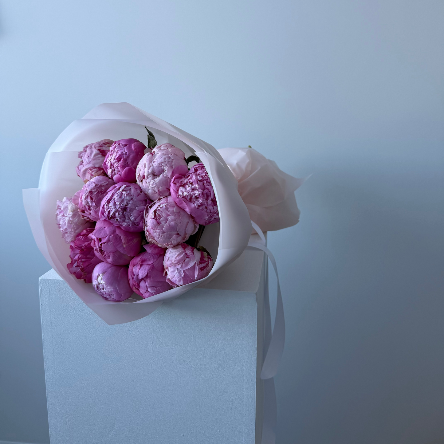 Bouquet de Pivoines rouges SV