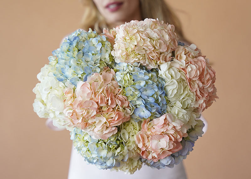 Hydrangea Clouds