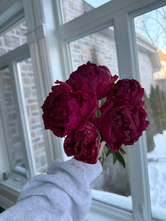 Fuchsia Peony Bouquet VD