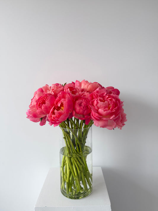 Peonies lover Collège Durocher