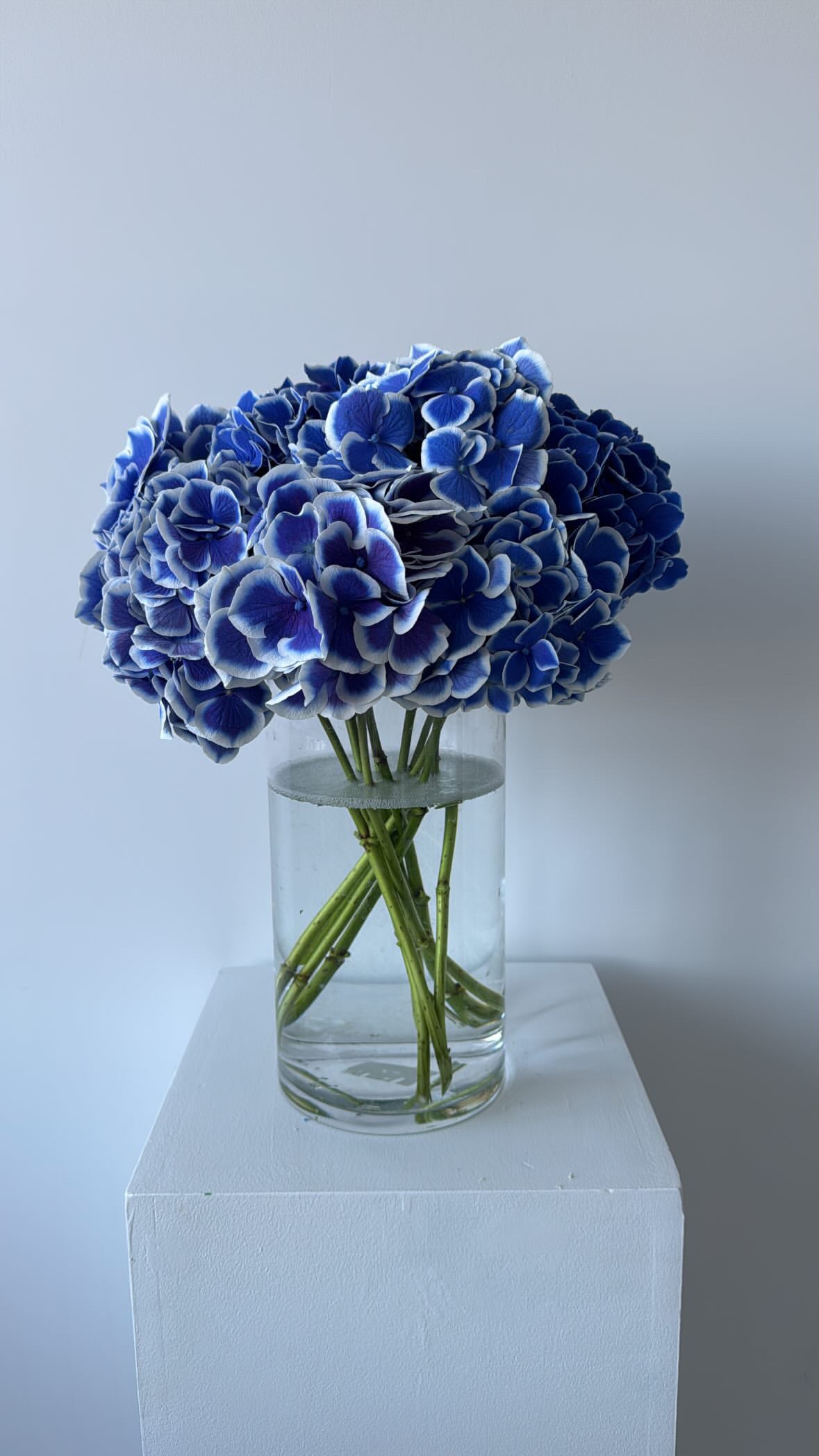 Bouquet Blue Hydrangea