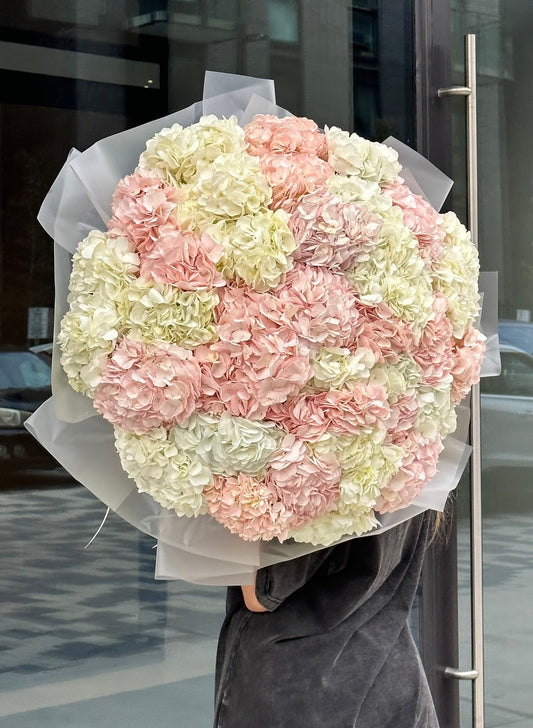 Pink and white Hydrangea