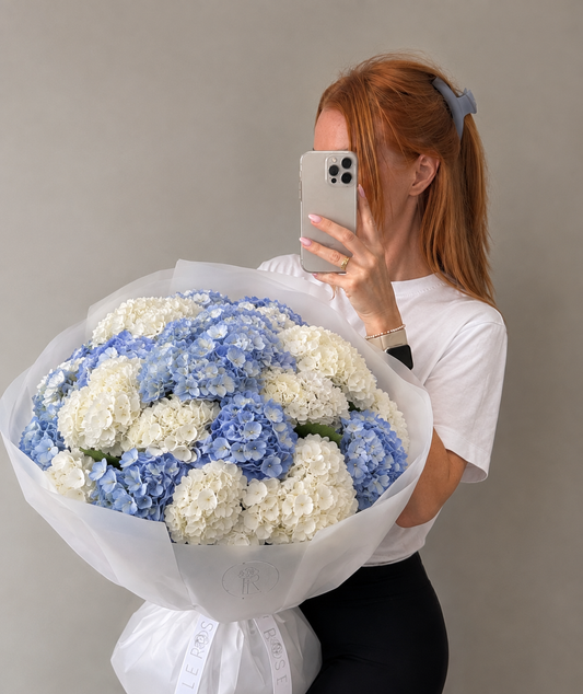 Blue and White Hydrangea