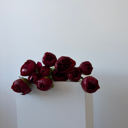 Bouquet de Pivoines rouges SV