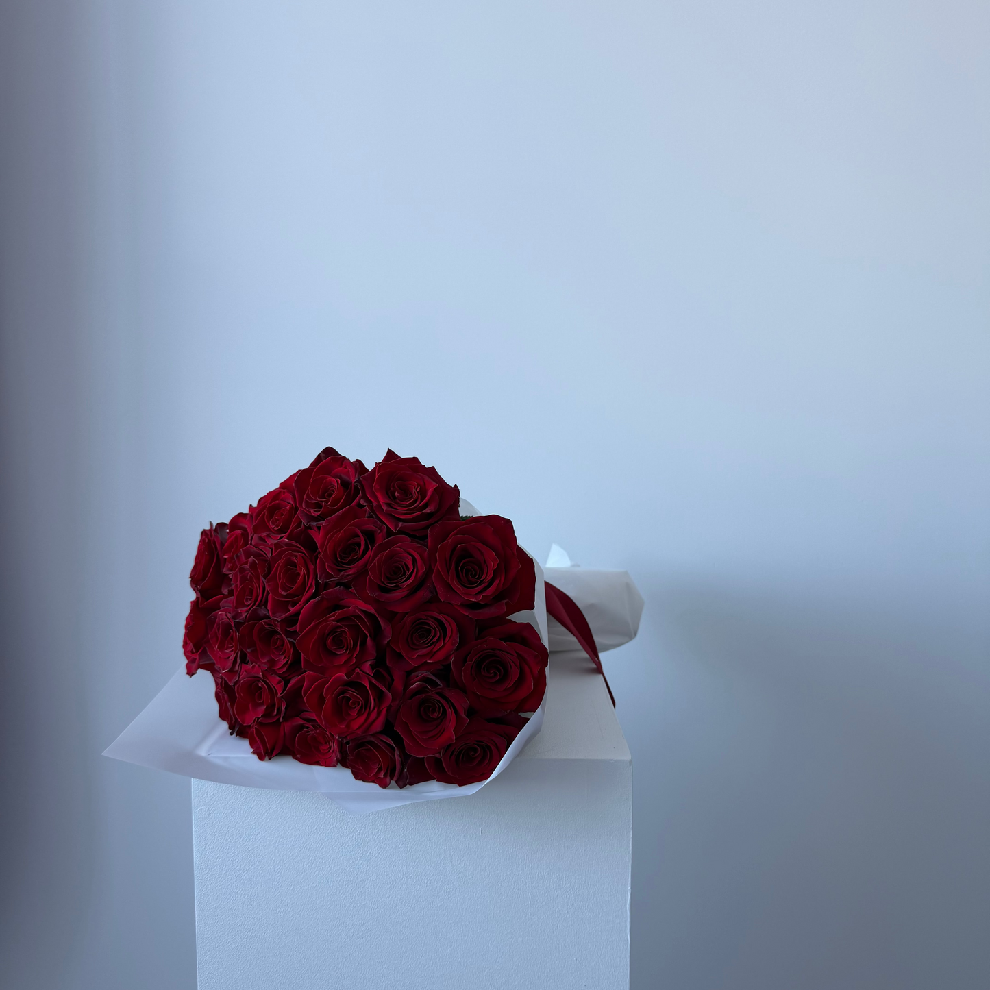 Roses Rouges Classique SV