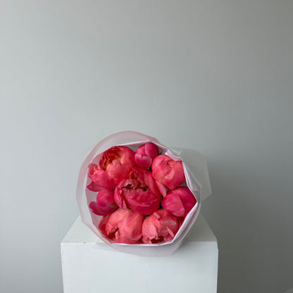 Peonies lover Collège Durocher