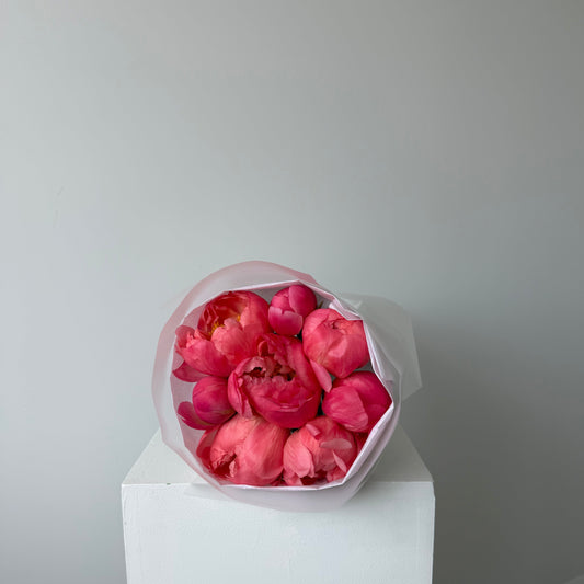 Peonies lover Collège Durocher